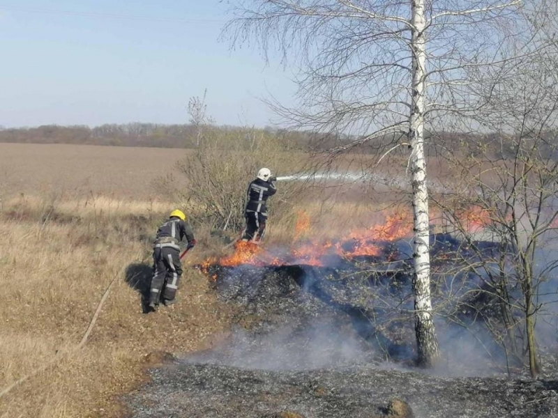 У ДСНС  нагадали  про відповідальність  за підпал сухої трави 