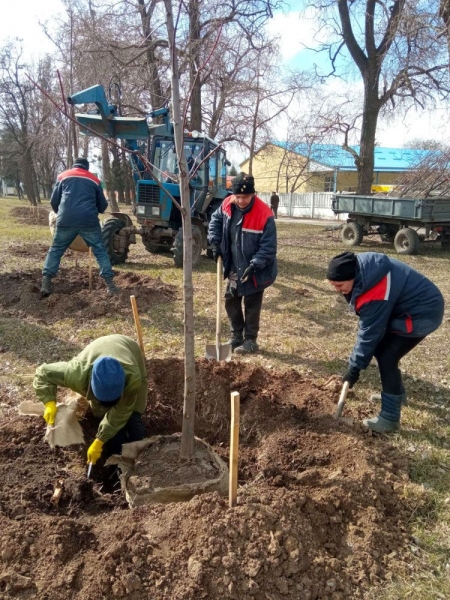 У Полтаві почали весняну висадку дерев та кущів: план робіт комунальників