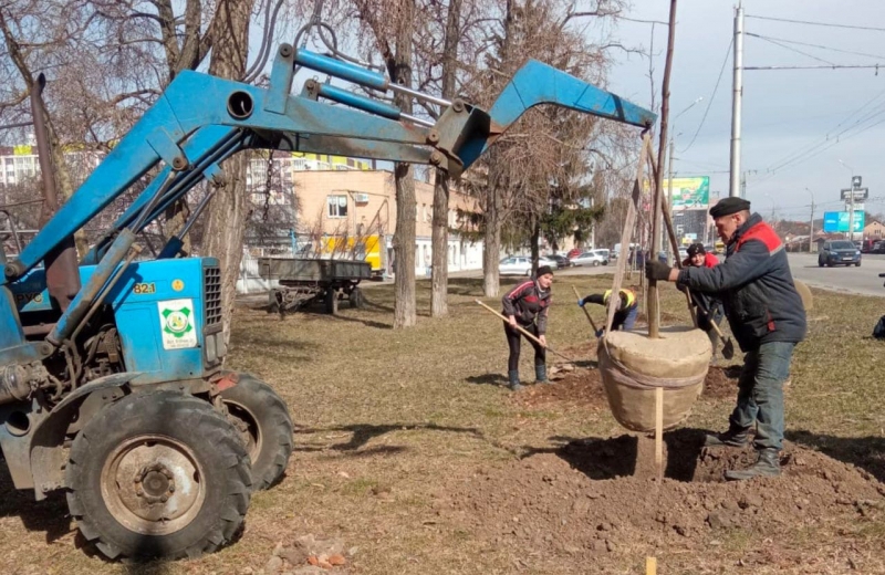 У Полтаві почали весняну висадку дерев та кущів: план робіт комунальників