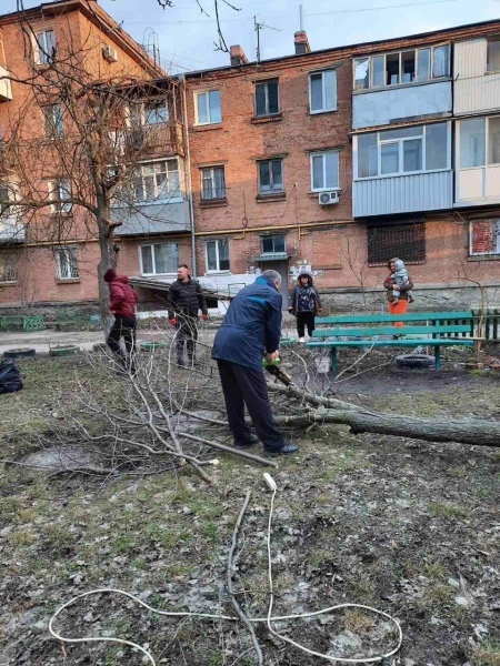 Мешканці будинку на вулиці Гоголя організували толоку 