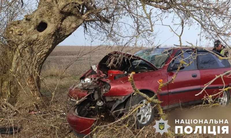 У Кременчуцькому районі автівка злетіла з дороги і врізалась у дерево. Водій загинув на місці