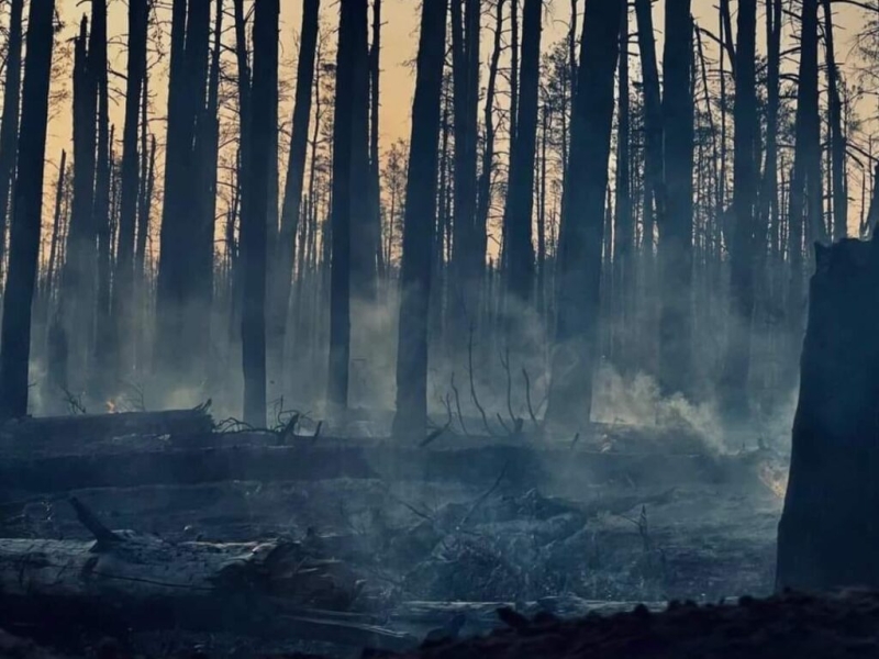 На Покровському напрямку Сили оборони відбили вже 25 атак російських окупантів, – зведення Генштабу