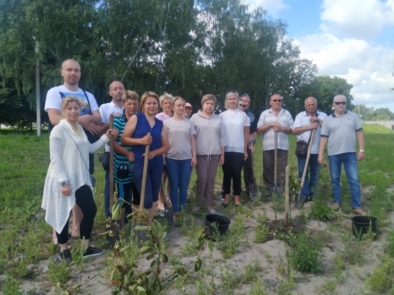 Дні сталої енергії в Миргородській громаді: підсумки