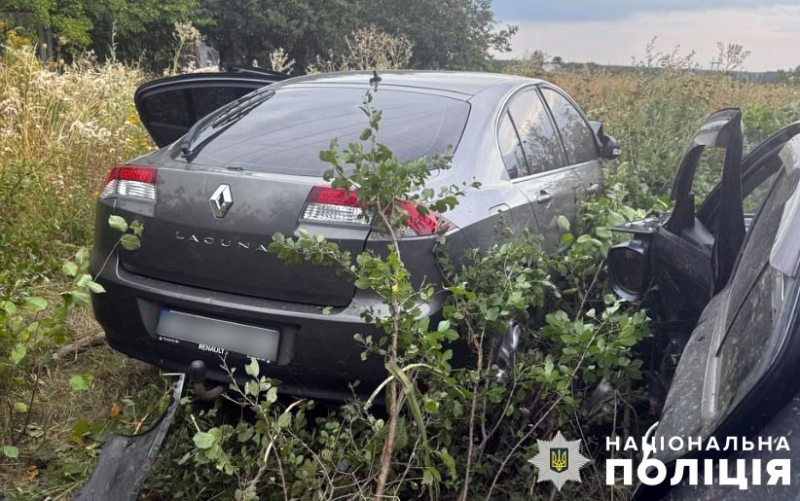 У ДТП на Полтавщині постраждали троє людей, серед них малолітня дитина