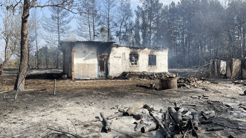 “Було дуже страшно, гуляли вогняні смерчі…”. Як на Полтавщині погоріли села через лісову пожежу