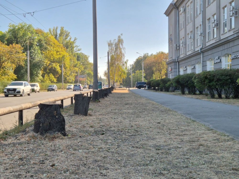 У Полтаві невідомі спиляли 20 здорових дерев, щоб відкрити кращий огляд на новий автосалон родини Аранчій