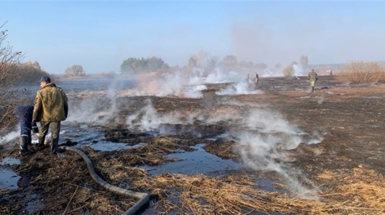 Горіло півтора тижні: у Кременчуцькому районі ліквідували пожежу торфовища