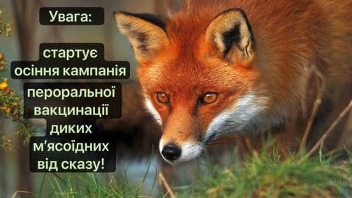 Осіння кампанія з пероральної імунізації диких м’ясоїдних тварин