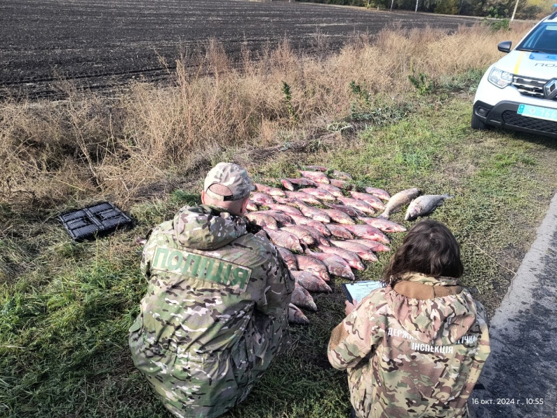 Перевозив 60 кг свіжовиловленої риби: у Кременчуцькому районі затримали браконьєра