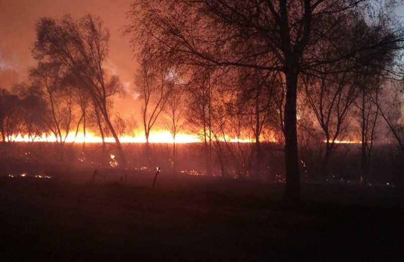 Спалював сухостій і загорівся ліс: на Полтавщині суд зобов’язав пенсіонера виплатити 4,8 мільйона гривень збитків