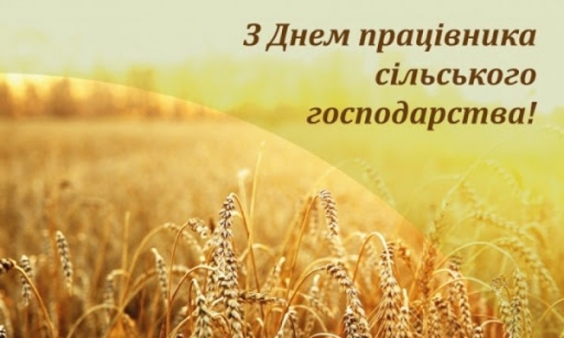 17 листопада - День працівників сільського господарства!